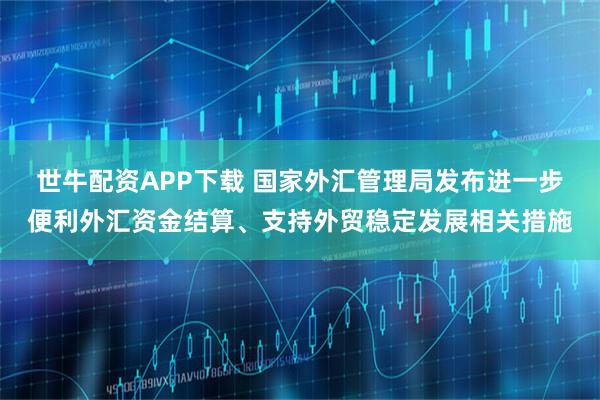 世牛配资APP下载 国家外汇管理局发布进一步便利外汇资金结算、支持外贸稳定发展相关措施